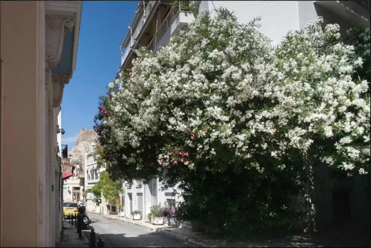 Appartement By The Acropolis, In The Heart Of Plaka! à Athènes Extérieur photo